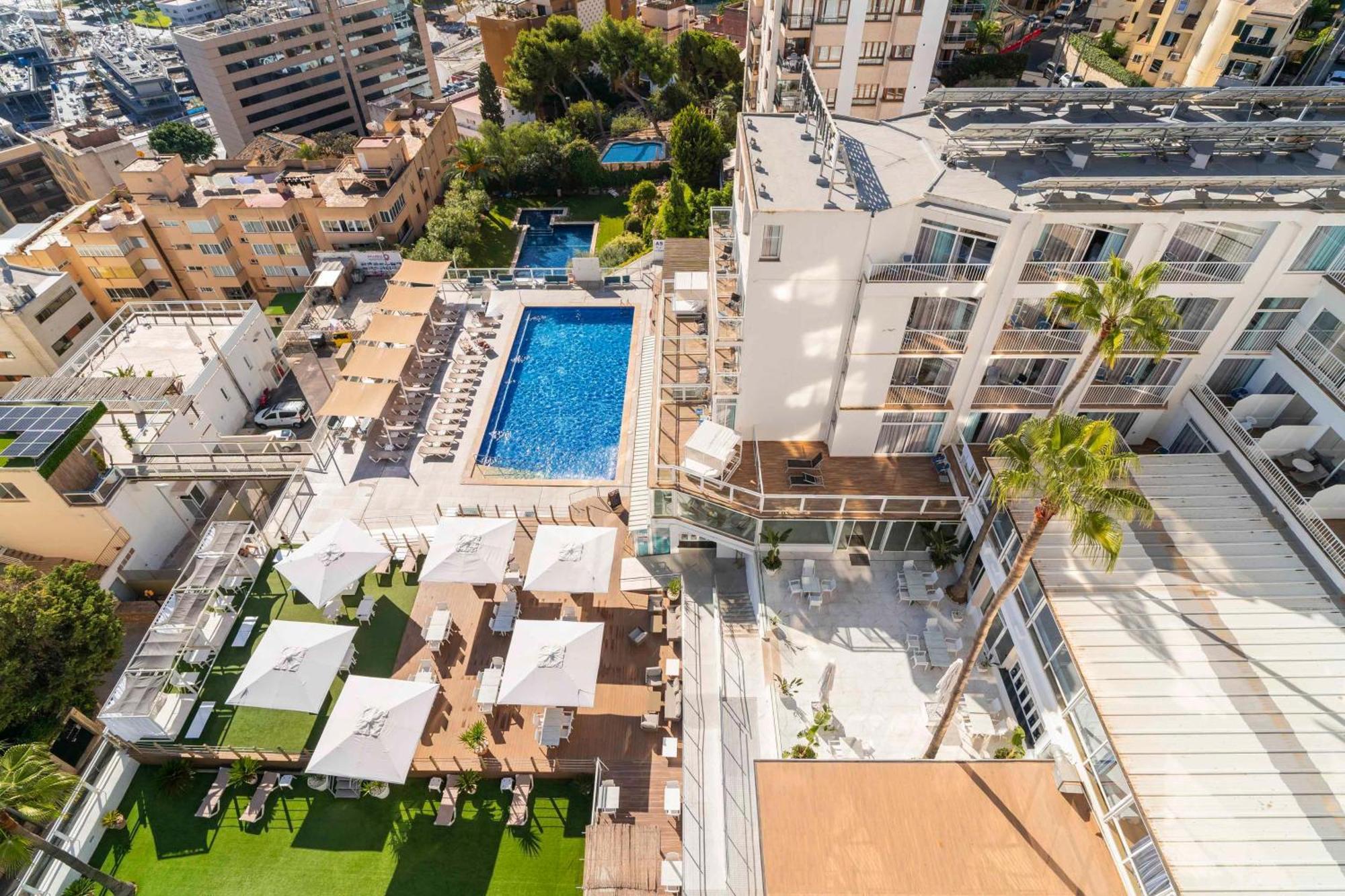 Amic Horizonte Palma